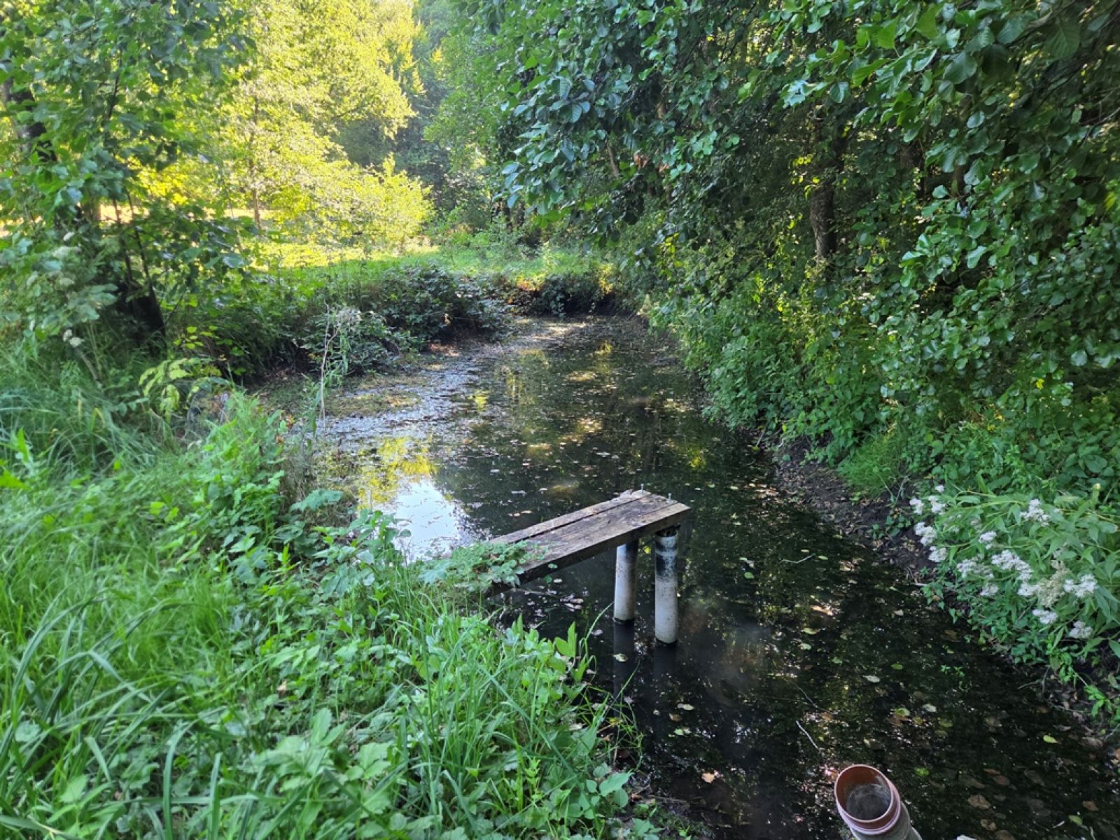 A VENDRE - Pin - Etangs - Sudimmo
