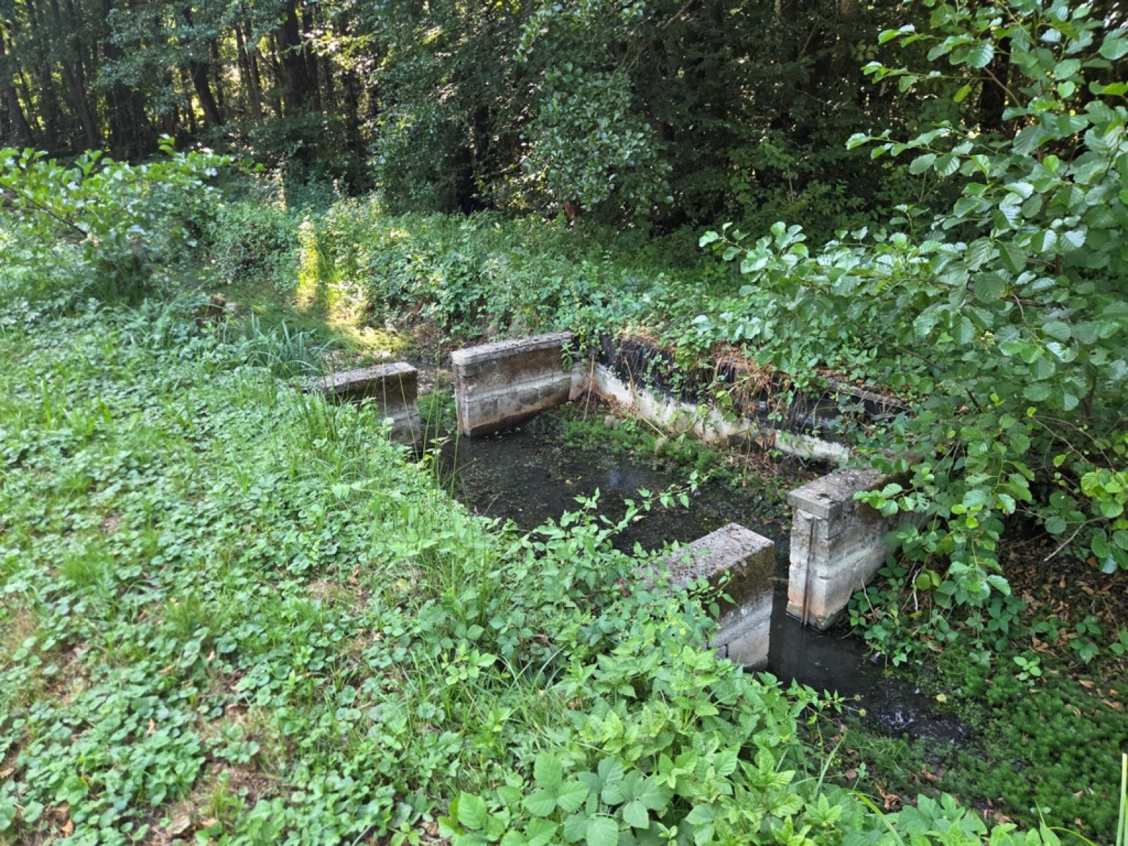A VENDRE - Pin - Etangs - Sudimmo