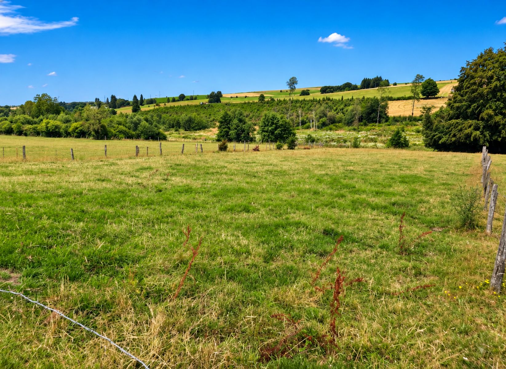 A VENDRE - Ebly - Terrains avec ruisseau - Sudimmo