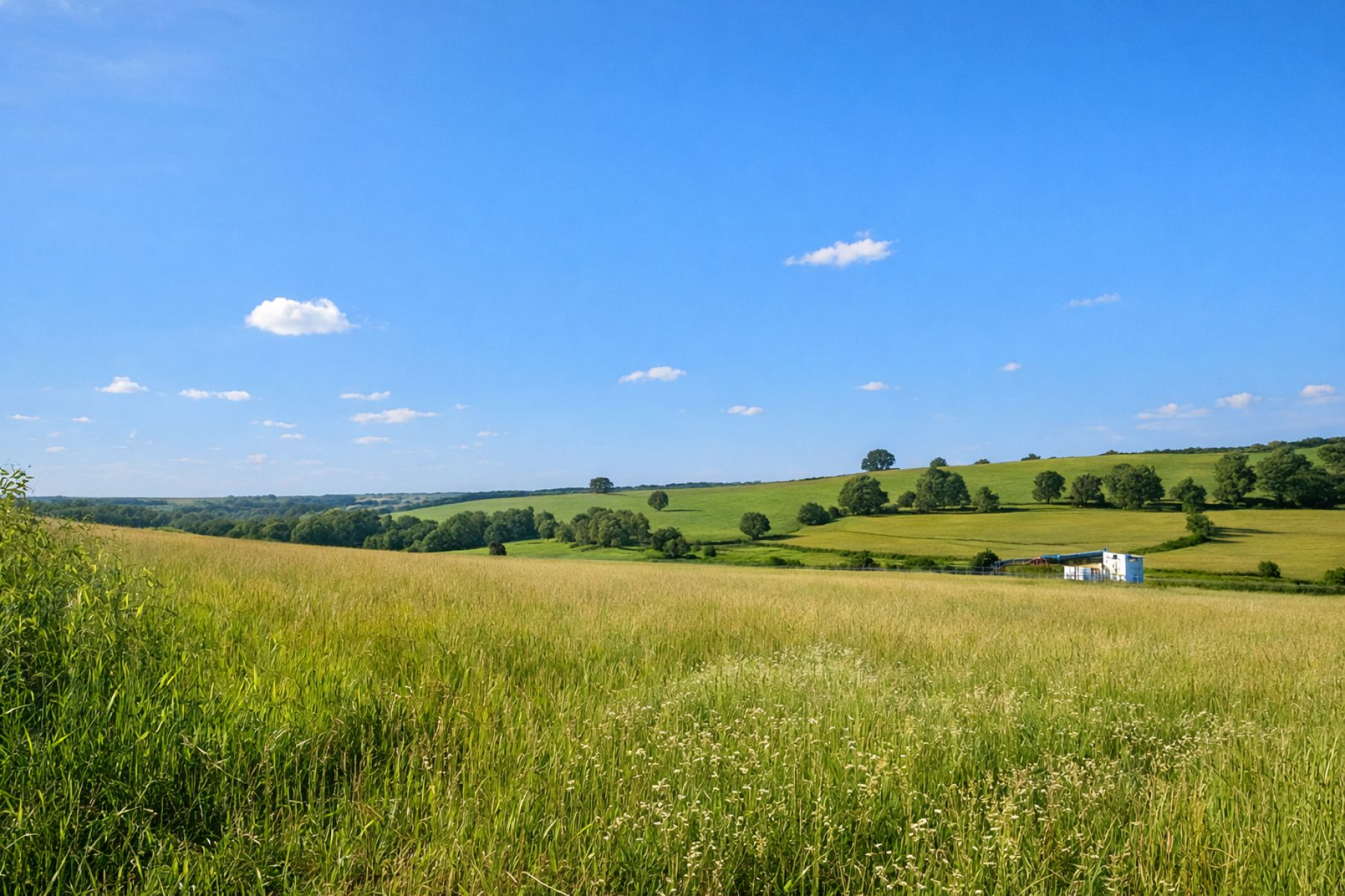 A VENDRE - Grapfontaine - Terrain agricole - Sudimmo