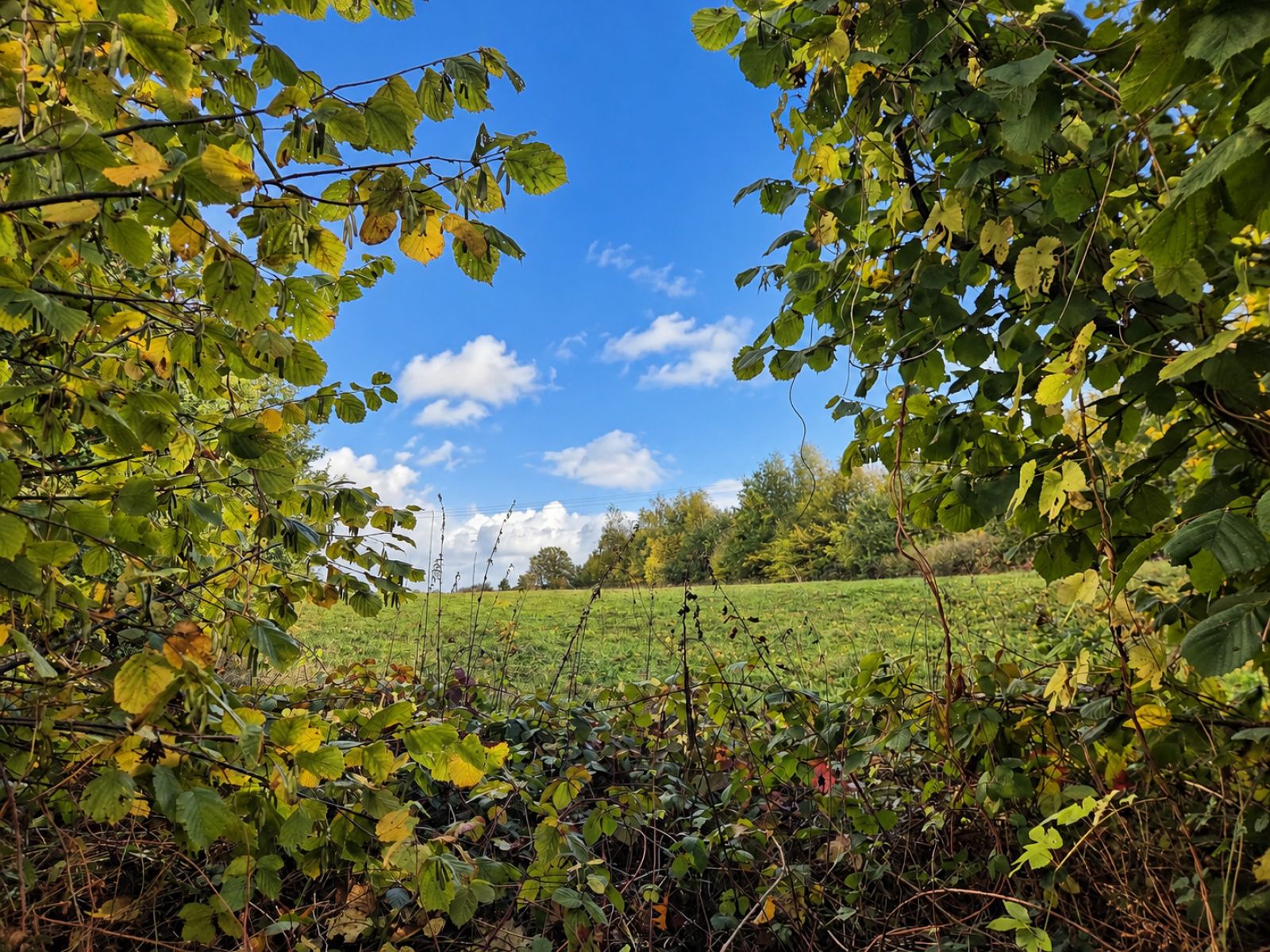 A VENDRE - Escombres-et-le-Chenois - France - Sudimmo