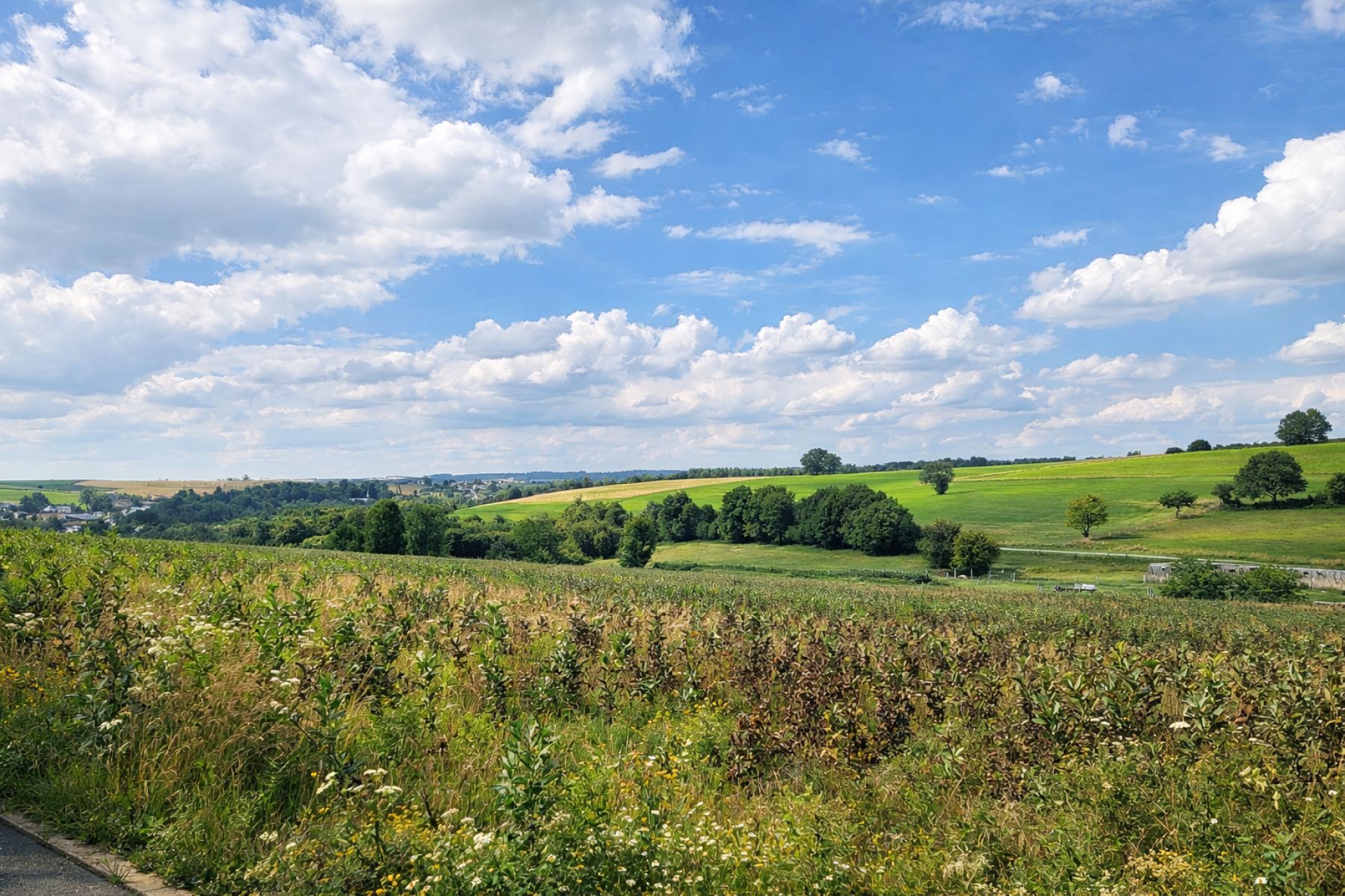 A VENDRE - Grapfontaine - Terrain constructible - Sudimmo