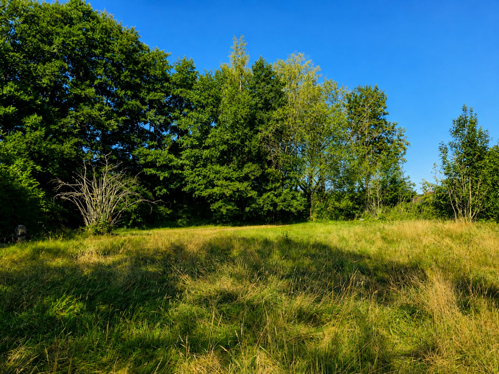 A VENDRE - Pin - Etangs - Sudimmo