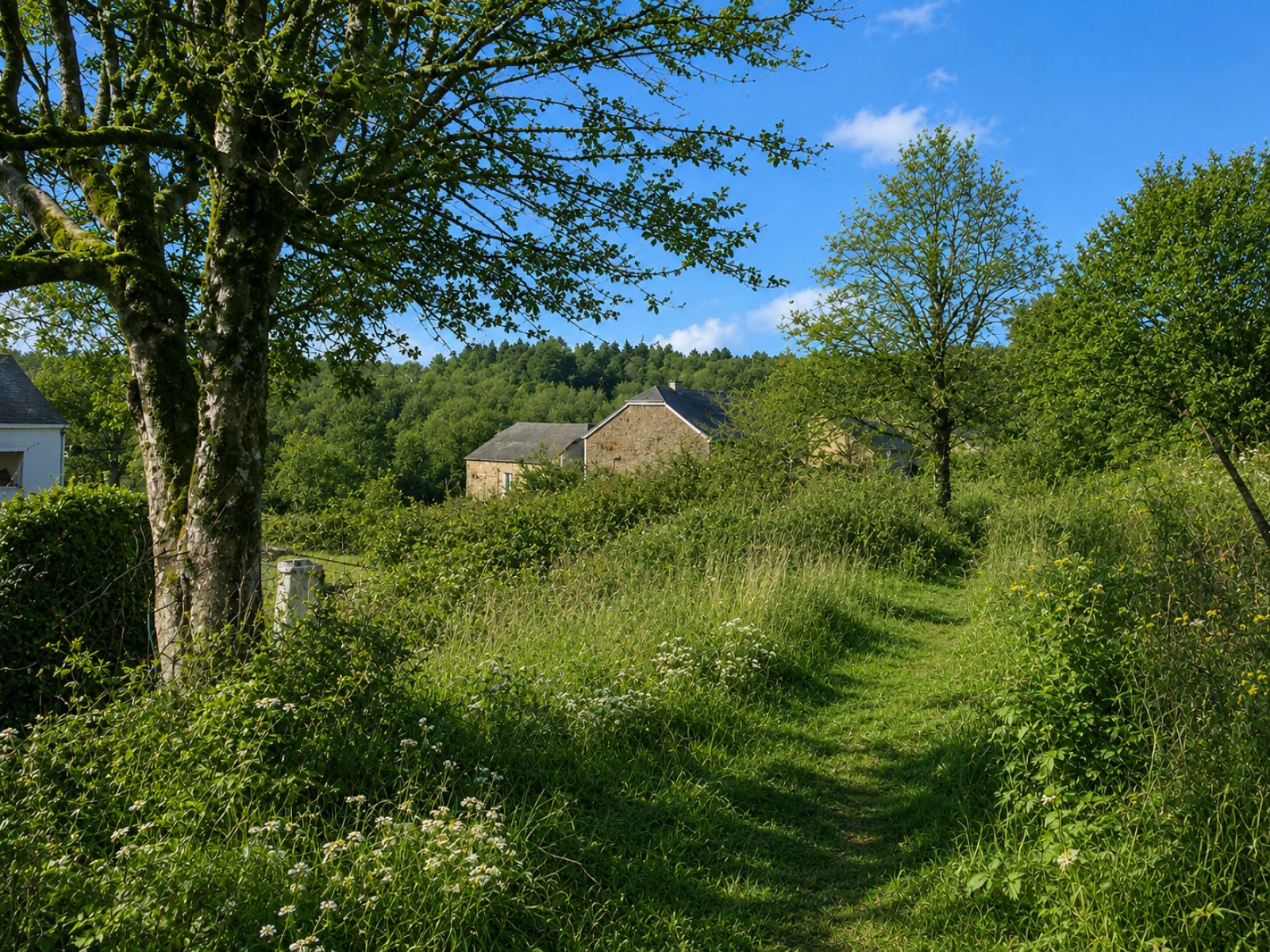 A VENDRE - Muno - Maison  - Sudimmo