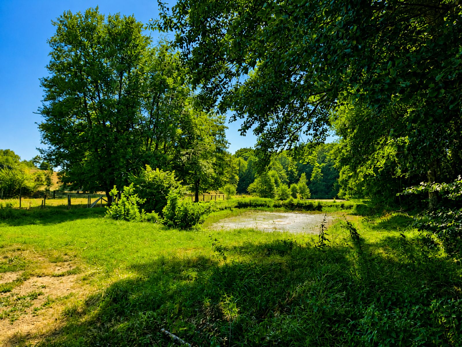 A VENDRE - Pin - Etangs - Sudimmo