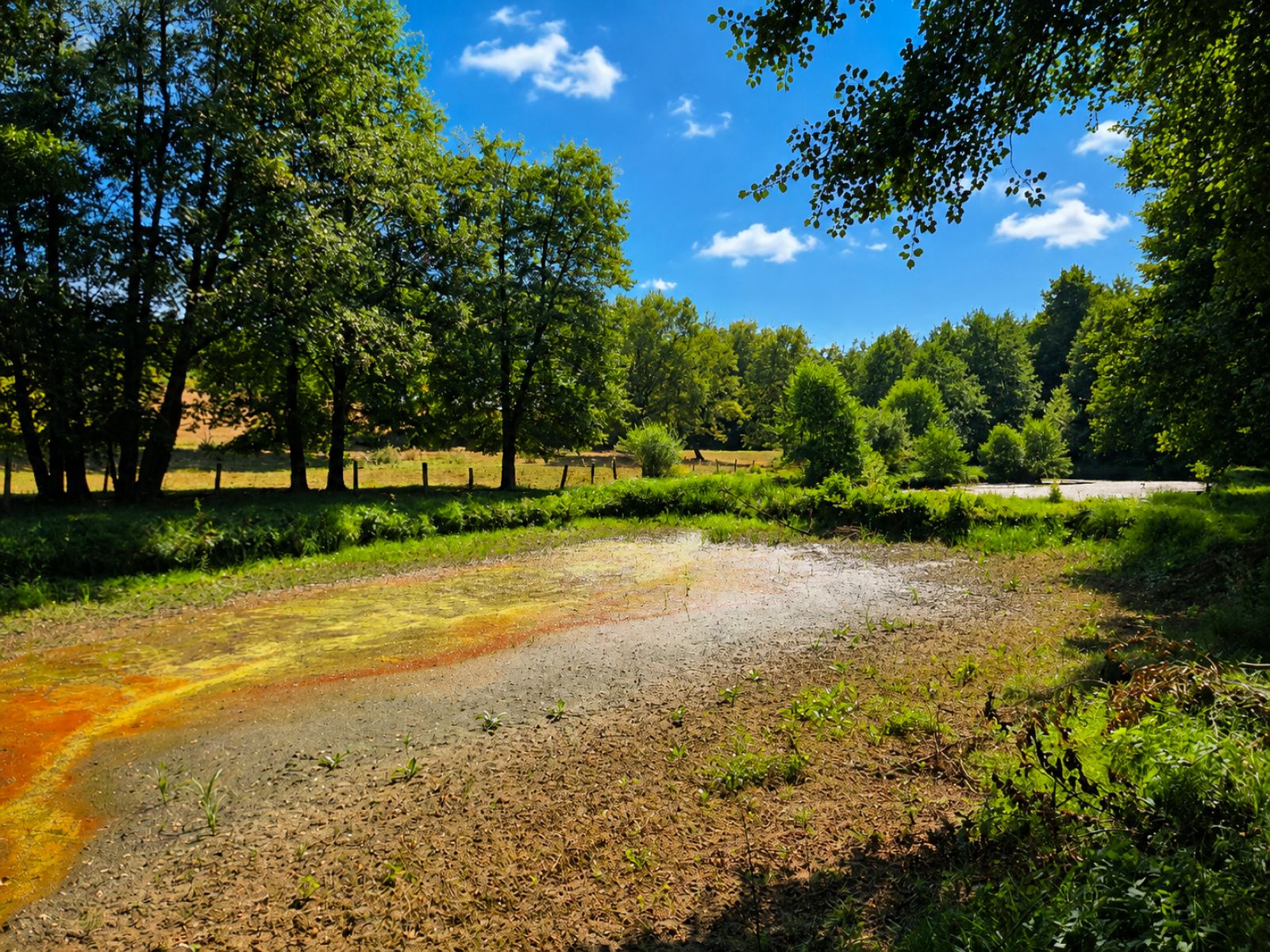 A VENDRE - Pin - Etangs - Sudimmo