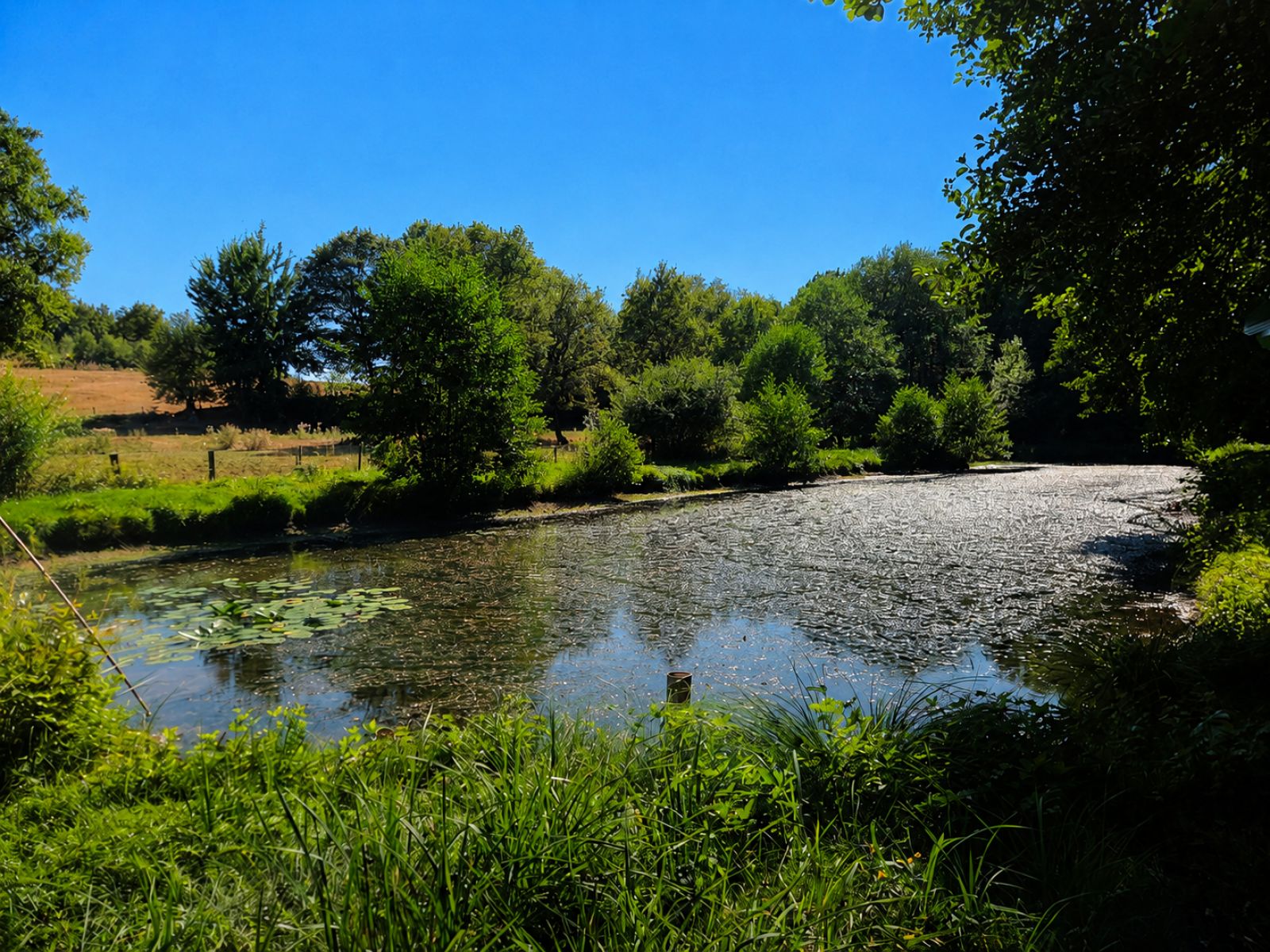 A VENDRE - Pin - Etangs - Sudimmo