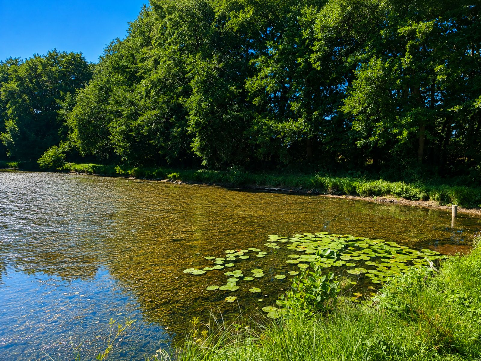 A VENDRE - Pin - Etangs - Sudimmo
