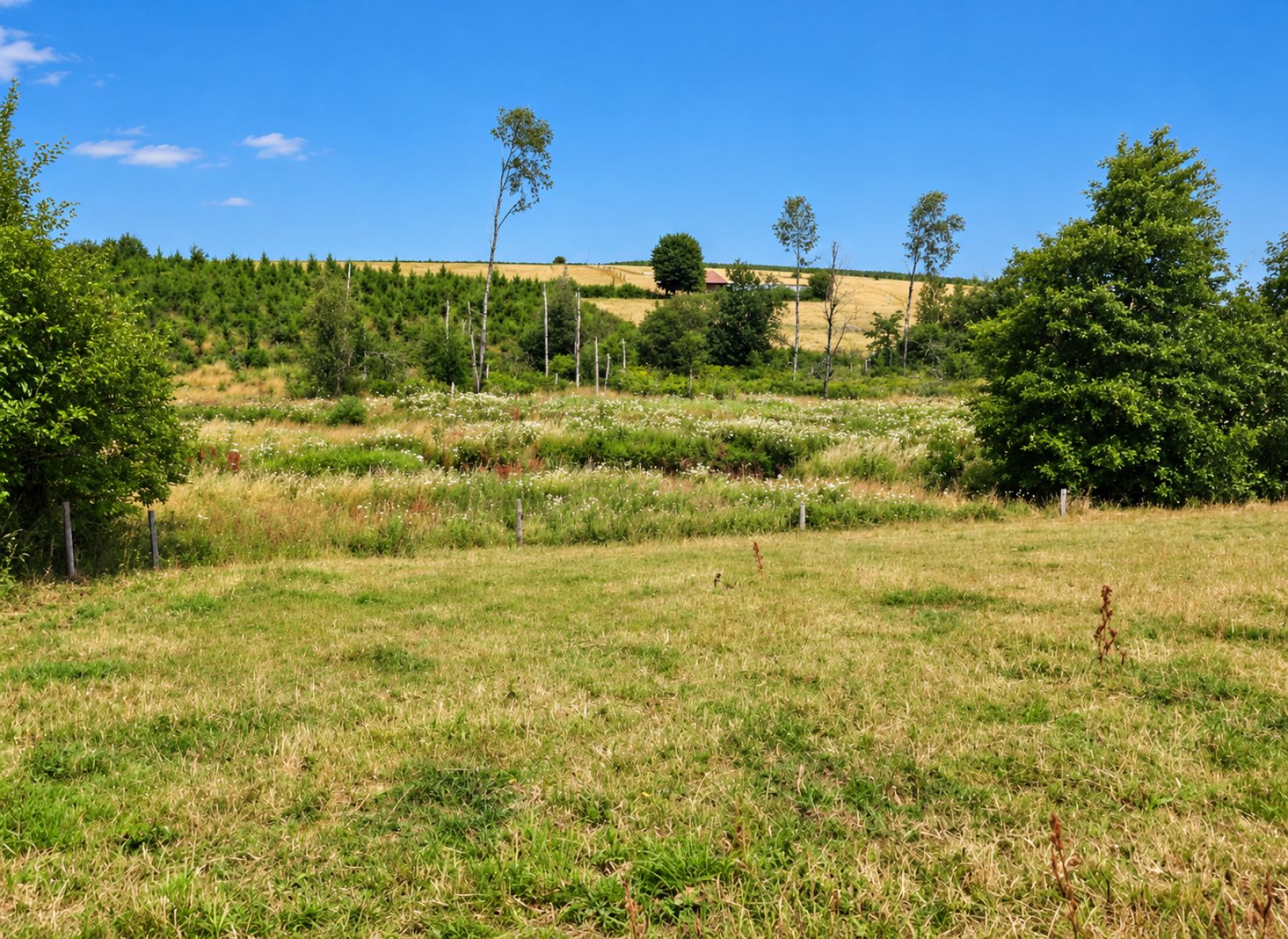 A VENDRE - Ebly - Terrains avec ruisseau - Sudimmo