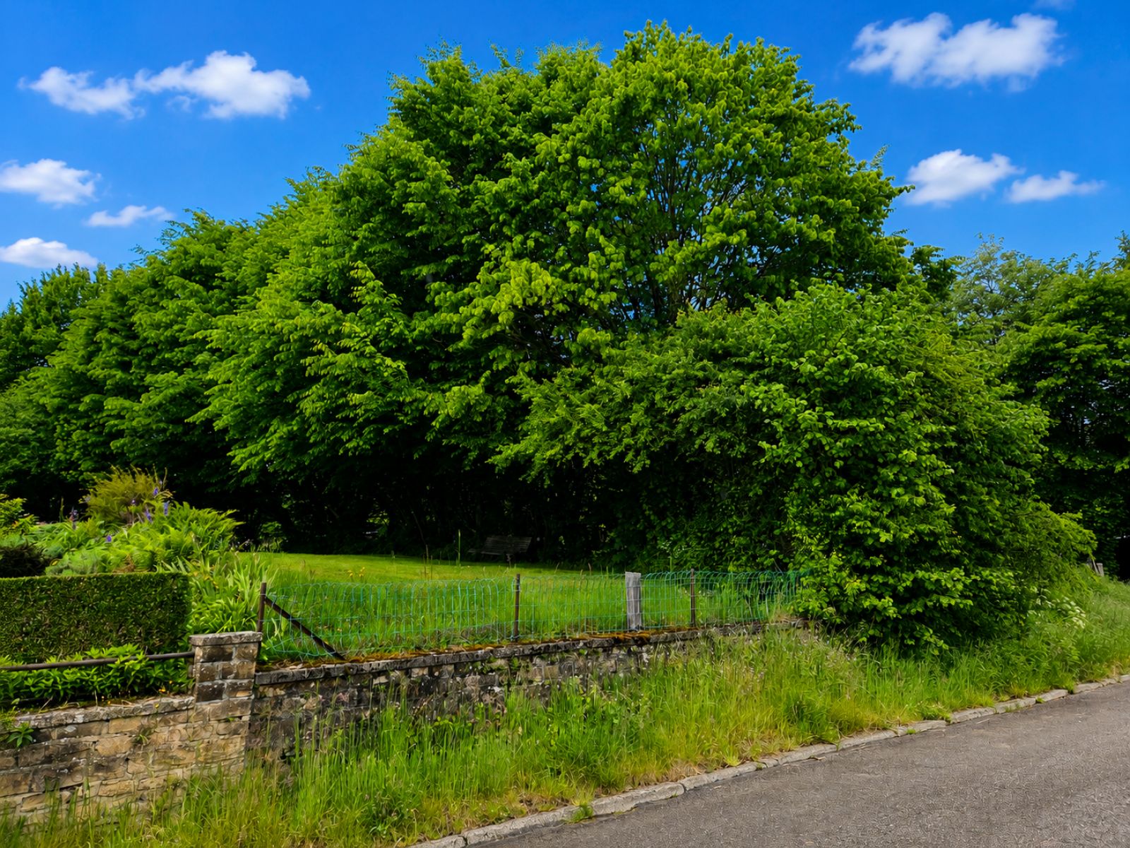 A VENDRE - Sainte-C&eacute;cile - Terrain  - Sudimmo