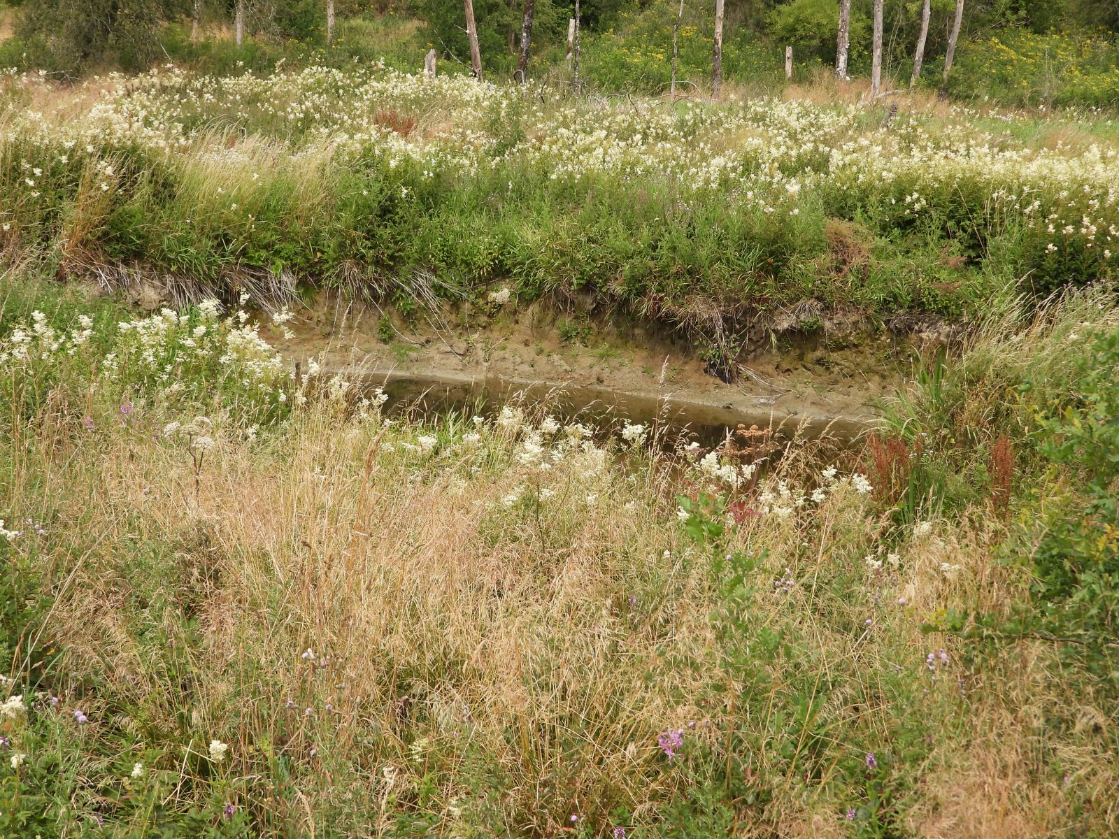 A VENDRE - Ebly - Terrains avec ruisseau - Sudimmo