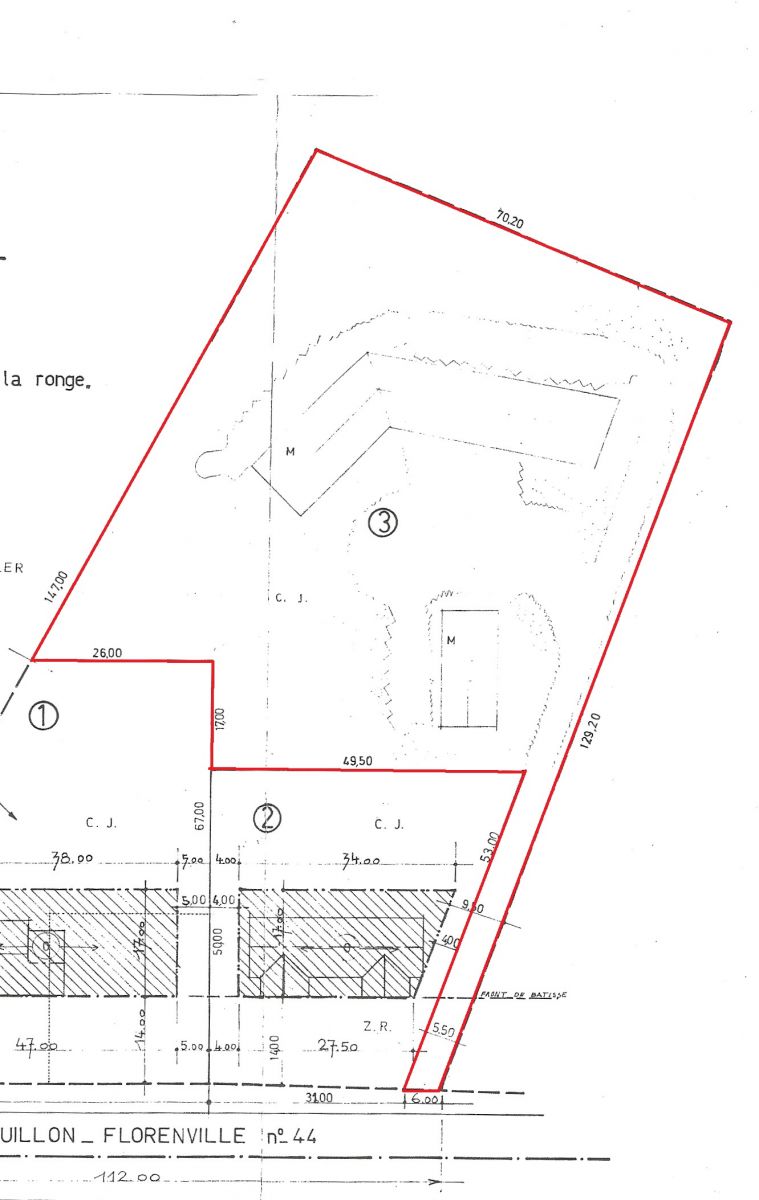 A VENDRE - Florenville - Parcelle de prÃšs de 68 ares pour "Motel" - Sudimmo