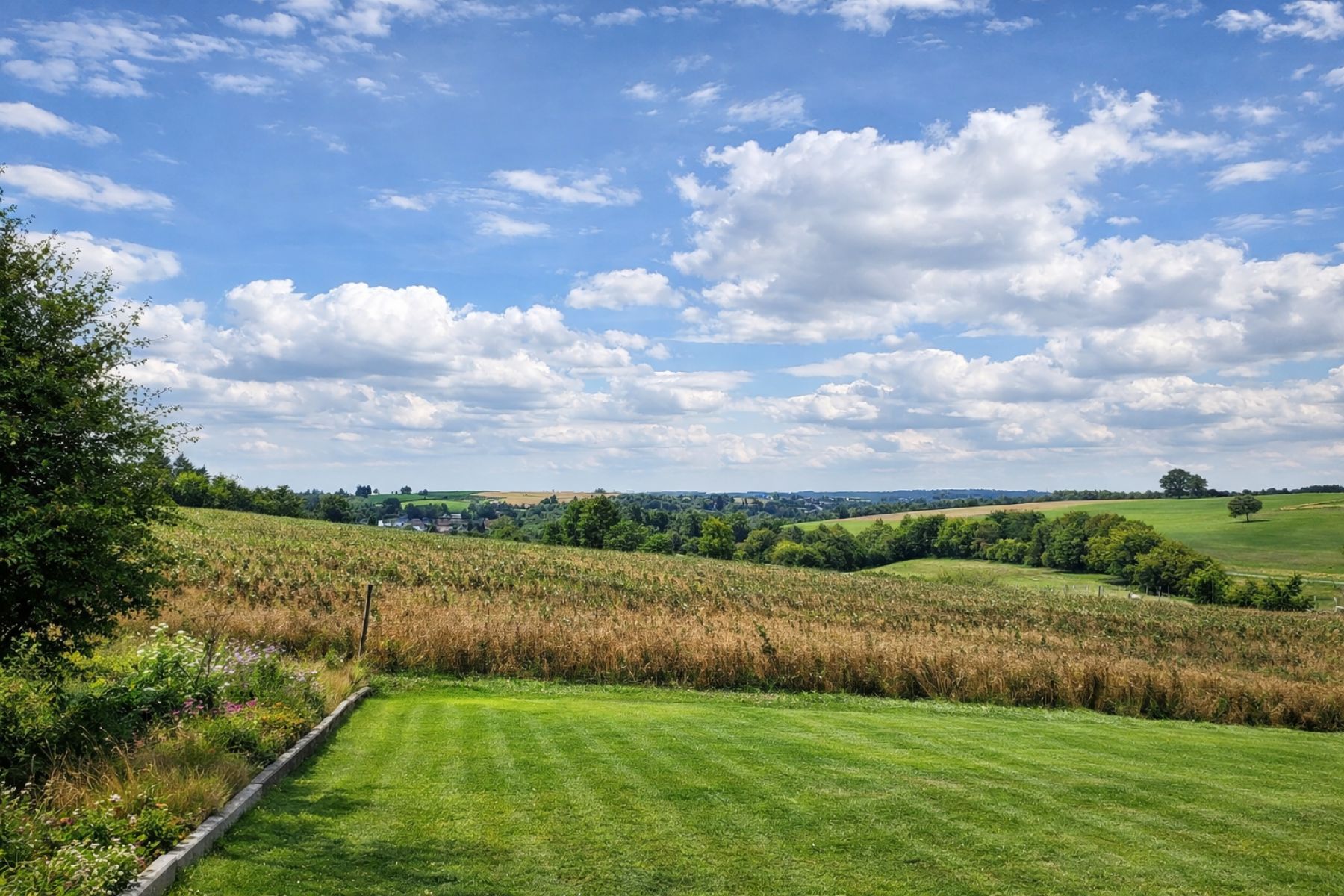 A VENDRE - Grapfontaine - Terrain constructible - Sudimmo