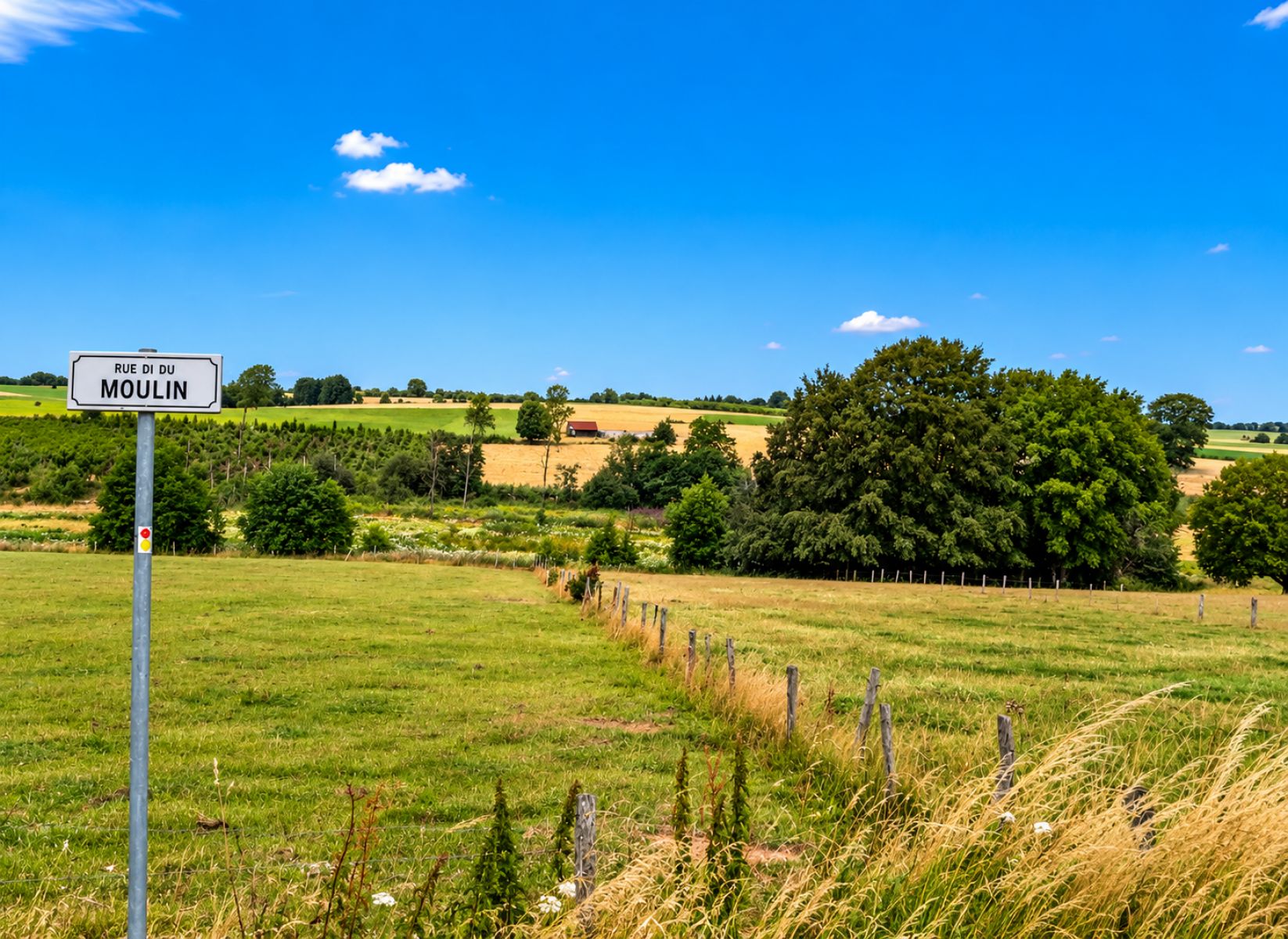 A VENDRE - Ebly - Terrains avec ruisseau - Sudimmo