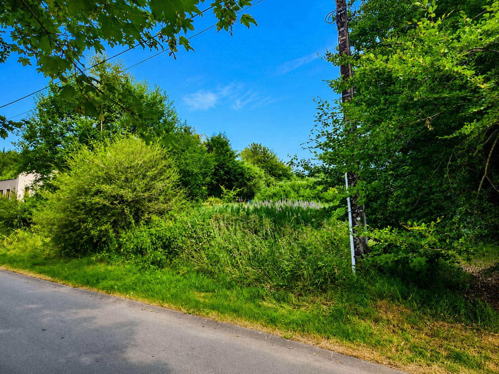 A VENDRE - Suxy - Terrain &agrave; b&acirc;tir - Sudimmo