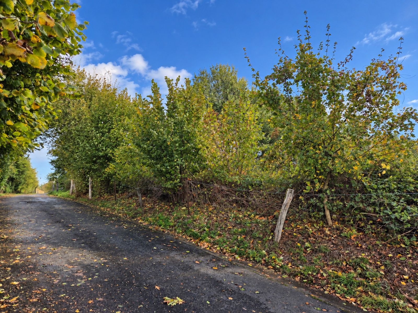 A VENDRE - Escombres-et-le-Chenois - France - Sudimmo