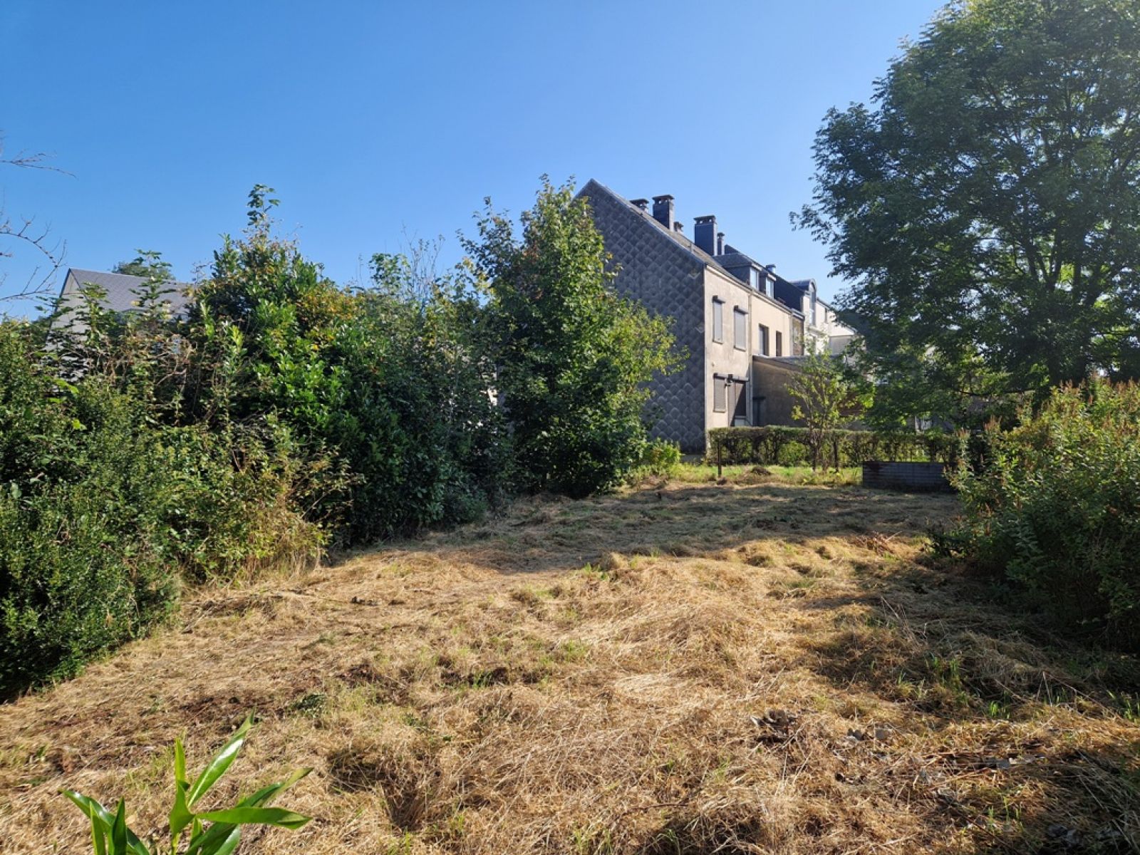 A VENDRE - Florenville - Maison bourgeoise - Sudimmo