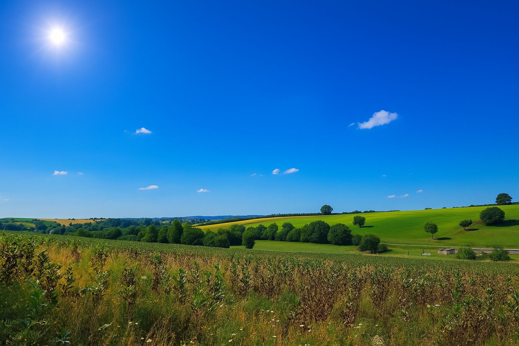 A VENDRE - Grapfontaine - Terrain constructible - Sudimmo