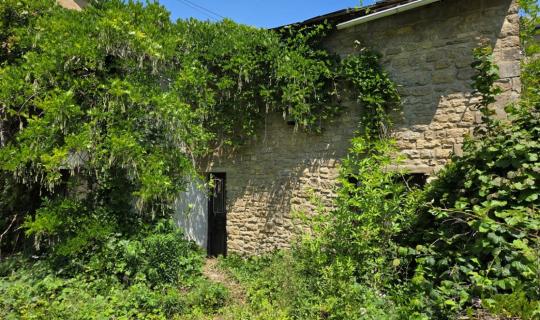 A VENDRE - Villers-devant-Orval - Projet insolite - Sudimmo