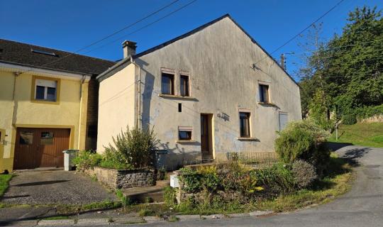 A VENDRE - Florenville - Maison  - Sudimmo