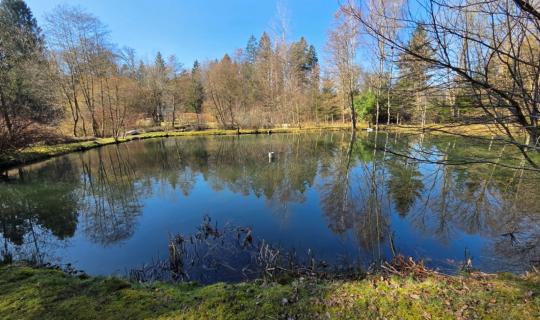 A VENDRE - Sainte-C&eacute;cile - Etangs - Sud Immo