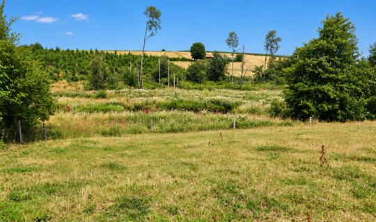 A VENDRE - Ebly - Terrains avec ruisseau - Sudimmo