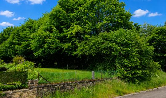 A VENDRE - Sainte-C&eacute;cile - Terrain  - Sud Immo