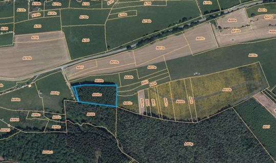 A VENDRE - Straimont - Fonds de bois - Sudimmo