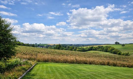 A VENDRE - Grapfontaine - Terrain constructible - Sudimmo