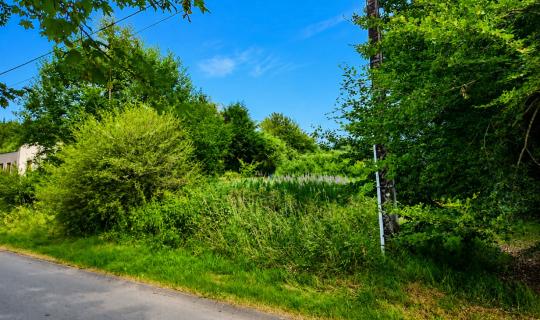 A VENDRE - Suxy - Terrain &agrave; b&acirc;tir - Sudimmo